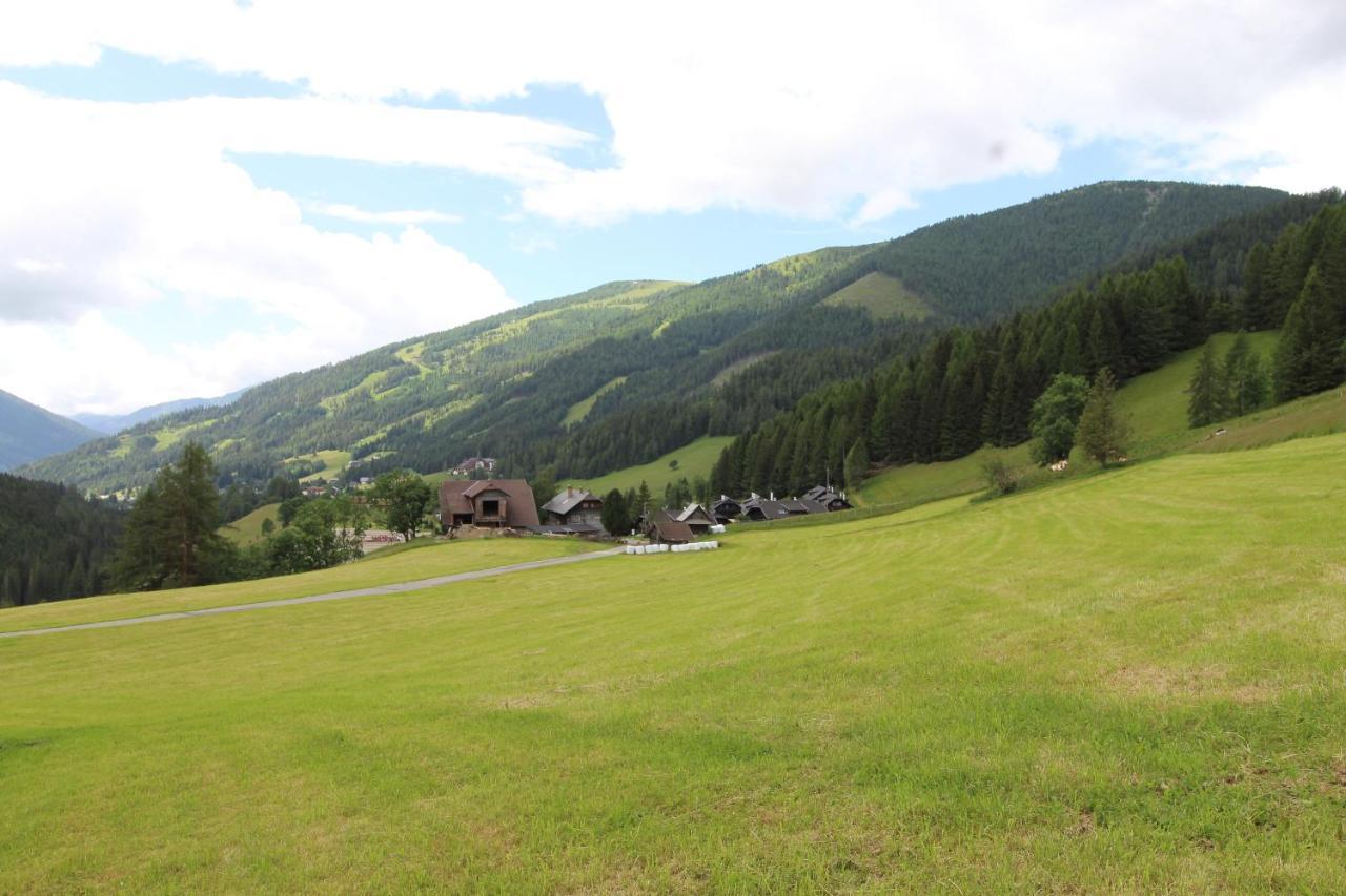Chalet MALLNOCK Appartement Bad Kleinkirchheim Buitenkant foto